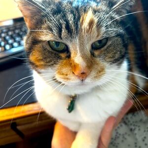 Meet your Posher, Sherry